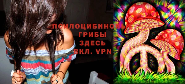 прущая мука Алзамай