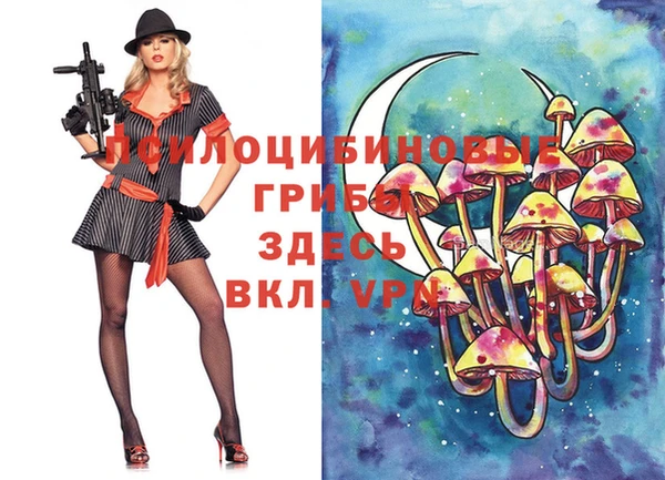 бошки Медвежьегорск