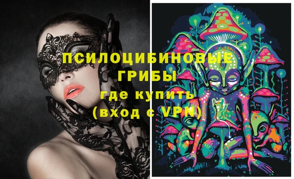 прущая мука Алзамай