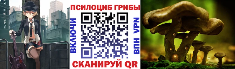 купить закладку  hydra зеркало  Галлюциногенные грибы GOLDEN TEACHER  Сибай 